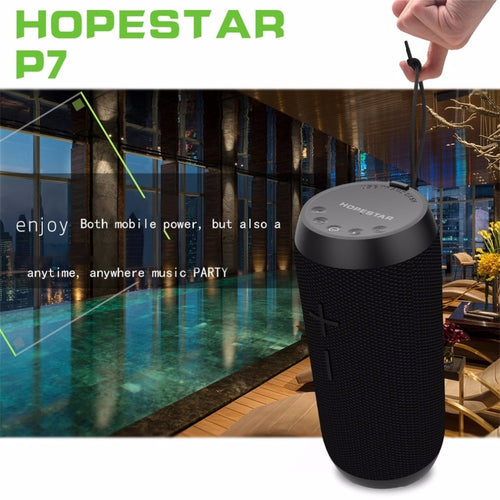 Bluetooth Speaker and Power Bank